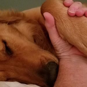 Meet your Posher, Jane